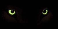 Black Panther Eyes Gif
